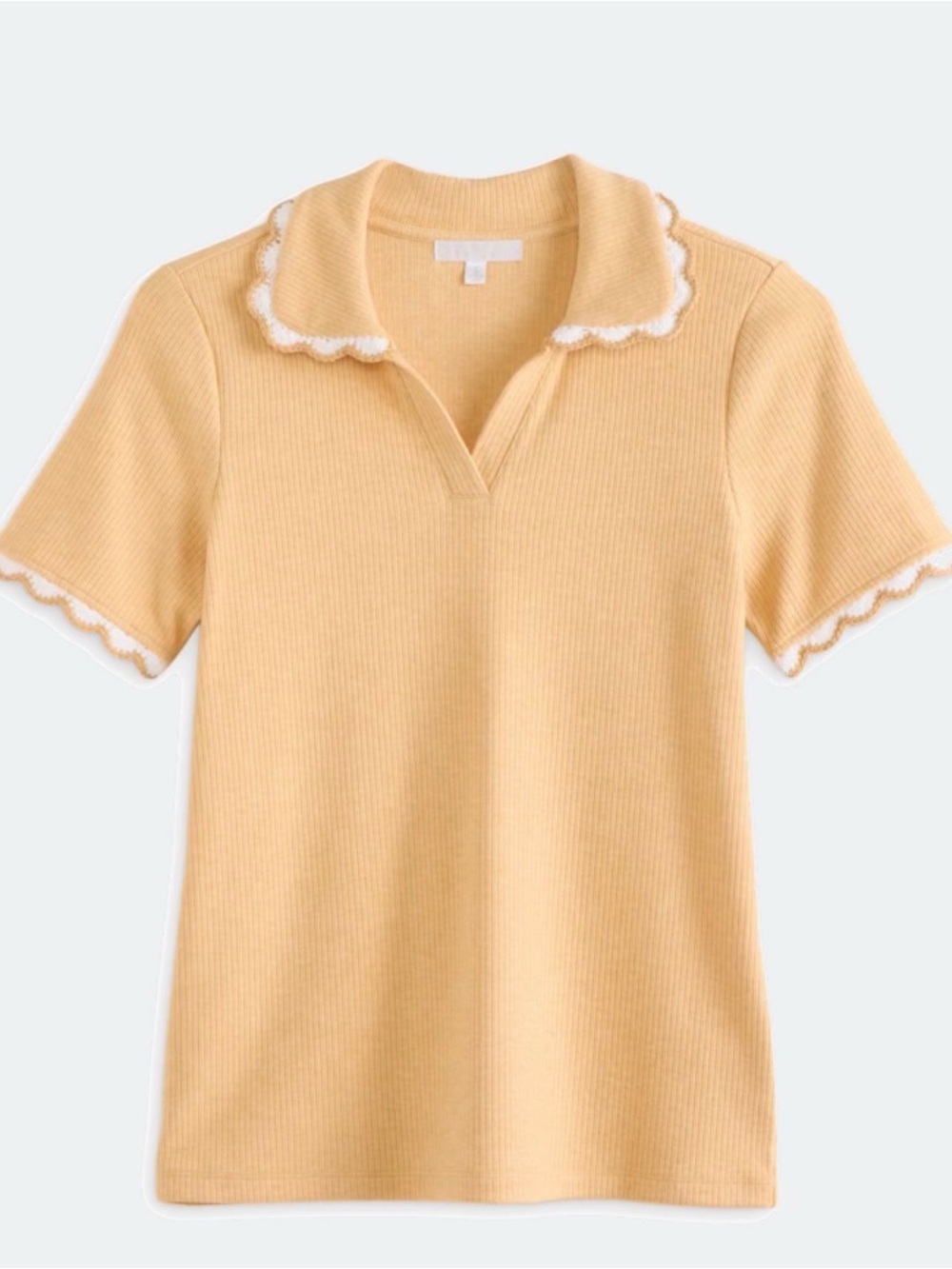 Design History Meem Embroidered Detail Collared Knit Top NWOT